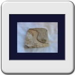 uova primordiali 30x30